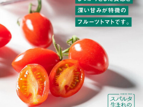 【予約商品】☆糖度１２度以上☆　厳選！！　濃密な味わい♪　スパルタ生まれのひみこ(ミニトマト)　1kg入り
