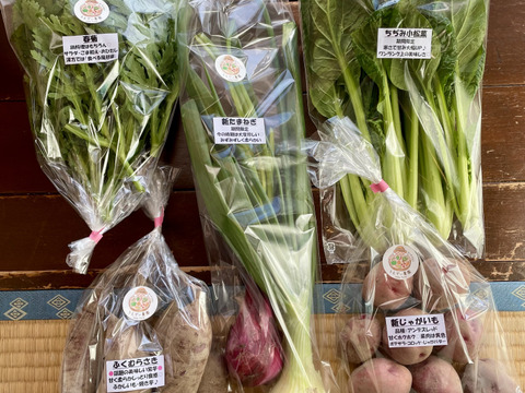 【母の日】濃甘！野菜セット3種類×2倍量 農薬・化学肥料不使用♪個包装【母の日ギフト】