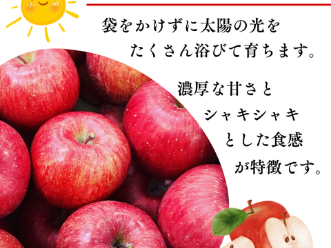 りんご サンふじ 5kg 16個〜20個入り リンゴ  秋田 雪 甘い  りんご   フルーツ お取り寄せ お取り寄せグルメ アップル  おやつ デザート 母の日 甘いりんご