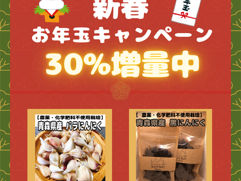【農薬・化学肥料不使用栽培】青森県産　にんにく　白・黒セット　ポスト投函便　(バラにんにく200ｇ・自家製黒にんにく100ｇ）