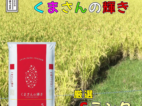 自然栽培 大粒米 無農薬 玄米20kg 精米して発送 無農薬