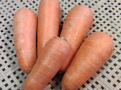 [なゆた農場]人参5kg