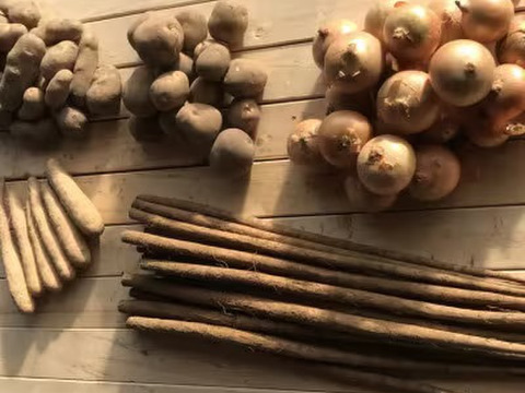 ☆お待たせしました☆令和7年産🥔🧅小さな長芋入り✨山田敏彦【十勝のGOODなセレクト野菜】セットA 合計約13kg
