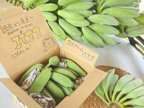 【収穫真っ盛り！】沖縄産バナナ1.5kg❗️注目の新鮮採れたて！