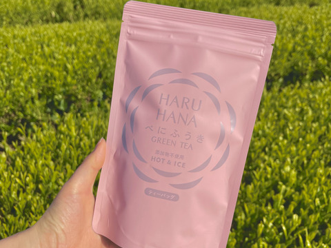 【メール便】HARUHANAべにふうき ティーバッグ 緑茶 3g×25p 静岡牧之原