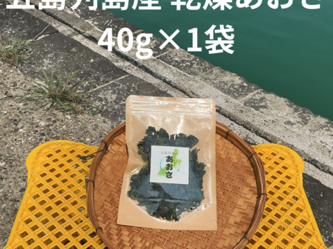 五島列島産 乾燥あおさ チャック付き!! 40g×1袋
