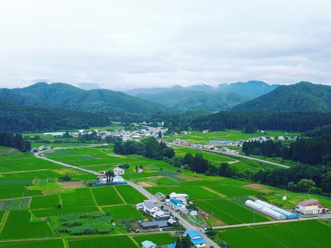 【新米】R7年産　秋田県産あきたこまち　白米10kg