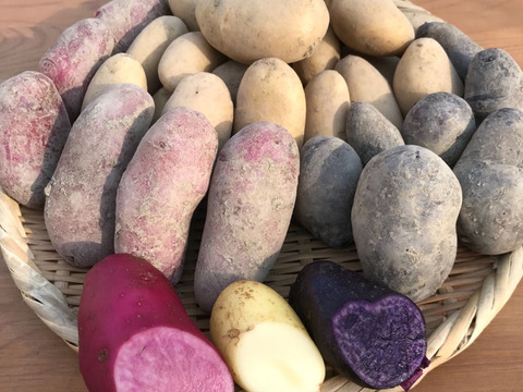 お試し！【じゃがいも】食べ比べセット(おまかせ3～5種)計4kg※種類によっては小芋サイズも含まれます。
