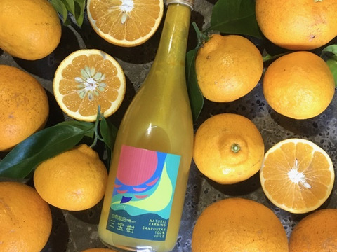 食べ飲み比べセット 木成り八朔と三宝柑 三宝柑ジュースセット 5kg 箱込 和歌山県産のみかん 柑橘類 食べチョク 産地直送 産直 お取り寄せ通販 農家 漁師から旬の食材を直送