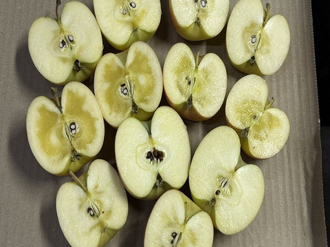 近年大人気！　蜜が入りやすく、パインの様な味わい　葉とらず“こうとく”　家庭用　約3キロ　限定販売！