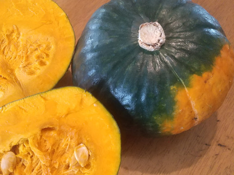 【北海道十勝産】ホクホクかぼちゃ大きめサイズ5~6玉（10kg以上）