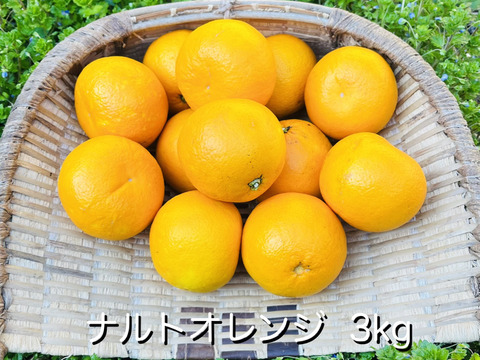 [自然栽培]ナルトオレンジ(3kg)栽培期間中農薬不使用、肥料不使用