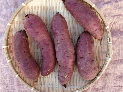しっとりねっとり甘い自然栽培紅はるか　山梨県産　百笑有田農園