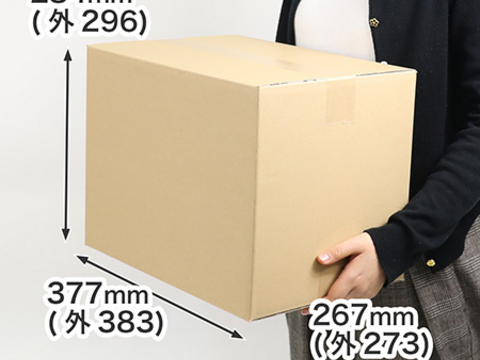 農薬不使用のお得な旬の野菜セット✨美味しいをお届け【数量限定】