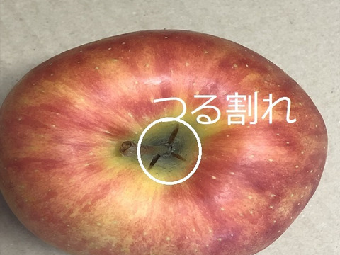 青森りんご　甘酸適和でりんごの代名詞、サンふじ　家庭用　約５キロ　農家直送