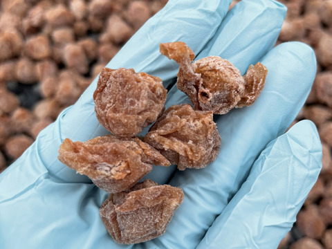 🍙【今だけ500円OFF】　
【無添加】群馬の梅　食べ比べセット　　　梅干し360g  乾燥梅干し300g