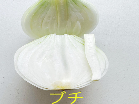 【家庭用】元気いっぱいの淡路島　新玉ねぎ！（5ｋｇ）【ひょうご安心ブランド認証】訳あり