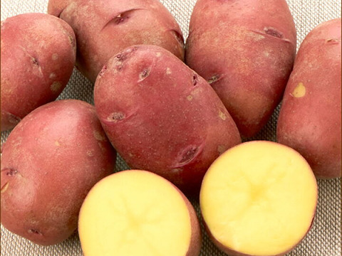 じゃがいも詰め合わせ★稀少品種もあり！！フライドポテトに、カレーに万能じゃがいもを取りそろえました。
