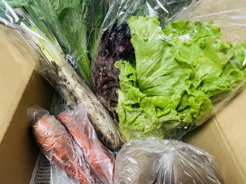 【くさぶえ農園】旬＊お試し野菜セット(6品目)