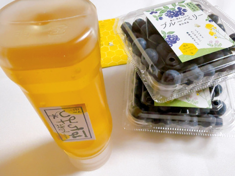 【福袋2025】【18年間農薬不使用】みつばち畑のブルーベリー＆【液だれ防止倒立ボトル】非加熱はちみつのセット（第一弾のみ）