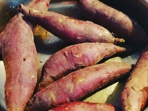 【専用貯蔵庫にて1か月熟成糖度アップ済】規格外大容量3㎏！ミニミニさつまいもだけど甘さはとびっきり！皮ごと丸ごとパクッといっちゃって！