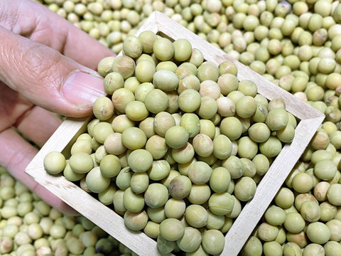 小糸の在来大豆 1kg【味噌づくりにも！無肥料・栽培期間中農薬不使用・天日干し】
