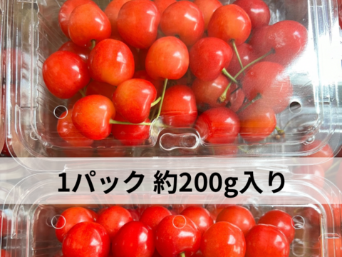 採れたて さくらんぼ パック【常温に変更】紅てまり 紅秀峰 秋田