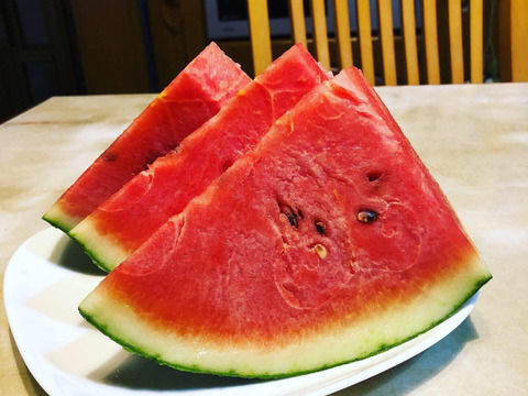 【朝どれ】爽やかな甘さ！千葉県船橋産小玉スイカ『愛娘さくら』1玉