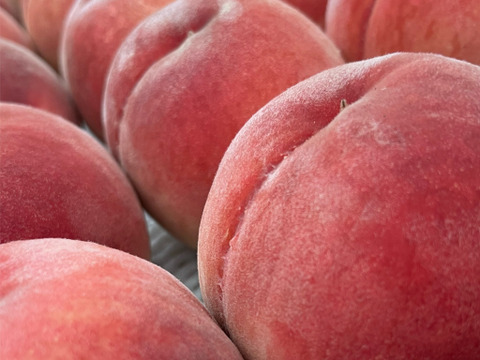 山梨県産　特上　桃　約5キロ（１５玉〜１８玉）