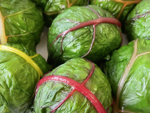 カラフルほうれん草スイスチャード6袋×120g  農薬・化学肥料不使用