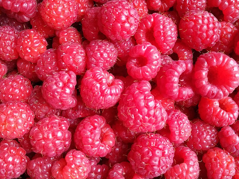 ♡限定品❣４種の国産ベリーミックスコンフィチュール（ジャム）【110ｇ】