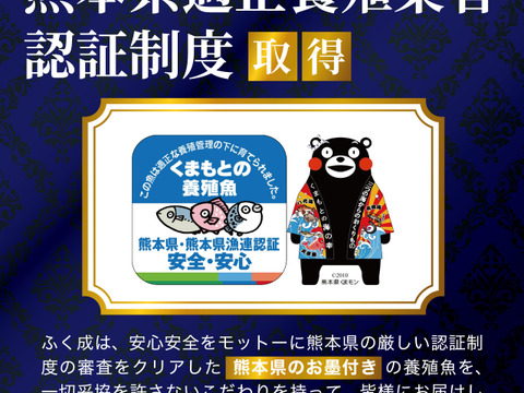 【テレビ東京のWBSで紹介】【新鮮なお刺身をまずはお試しで☆】天草産「真鯛のサク／3パック」《特殊冷凍》【当日発送 毎日便 対応】