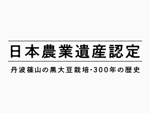 〈訳あり〉黒豆煮の練習用やおやつ用に！2025年 丹波篠山黒大豆 B級500g/レシピ付き