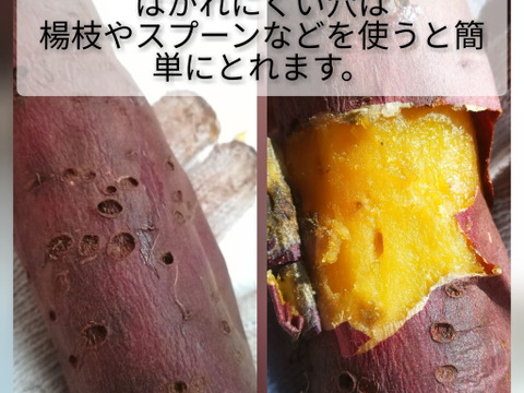 初春限定｜石窯焼き芋1kg＋プレミアム干し芋セット（熟成シルクスイート）