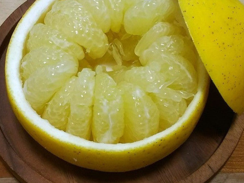 自然栽培　土佐文旦　3kg