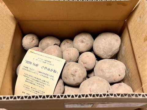 有機じゃがいも　さやあかね 2.5kg(約500g増） (混み玉) 北海道十勝産 ねっとり？ホクホク？ 美味いぞ！オーガニック