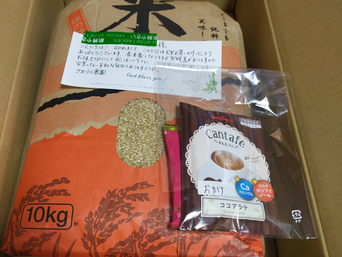 【令和6年新米】コシヒカリ🌾【玄米約10㎏】栄養たっぷり❗️茨城産1等米✨