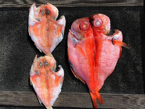 金目鯛とのどぐろ★高級魚干物セット★ギフト