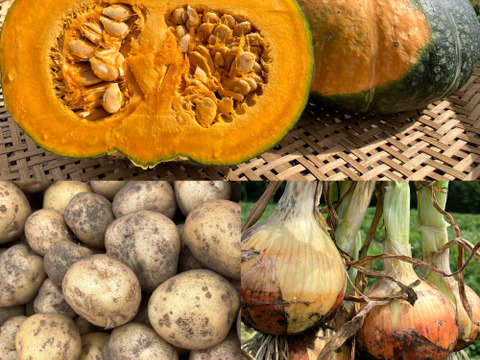 北海道産‼️農薬化学肥料不使用🎃🥔🧅旬の3点セット‼️くりりん南瓜＋新物玉ねぎ＋新じゃが＝約10㎏☺