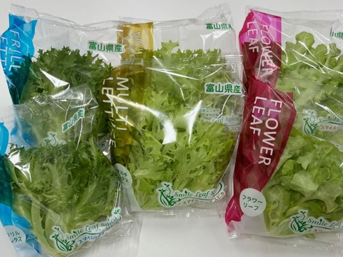 【栽培時農薬不使用】富山の植物工場野菜セット5袋入＋ベビーリーフミックス1袋付【５種類のレタスから組み合わせ】