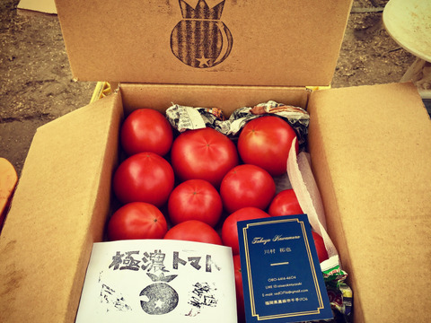 【予約販売】ジューシー！完熟赤採りトマト(4kg)
