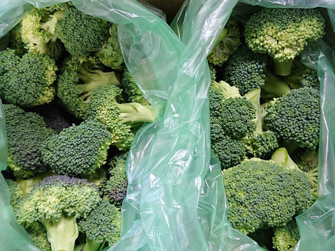 時短！お得！カットブロッコリー １キロ 高知県産