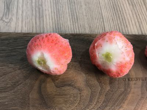希少品種「桃薫」大粒！冷凍いちご！1000ｇ(500ｇ×2）