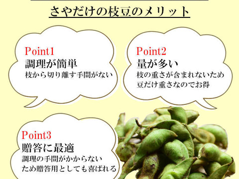丹波篠山 黒枝豆 枝豆 丹波 黒豆 600g × 5 丹波篠山産 2024年 丹波 枝豆 もっちり 黒大豆 大粒 波部黒 丹波黒 高級 3000g 黒大豆枝豆 枝なし さや