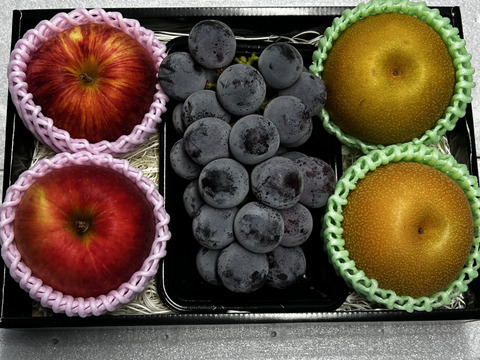 【旬のフルーツセットギフト用】りんご 梨 巨峰 大満足 秋の味覚 フルーツ 果物 ゴルフコンペ プレゼント 誕生日 シャインマスカット