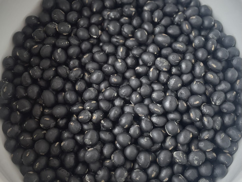 きてらのくろくろ黒大豆-500g-A品-農薬不使用