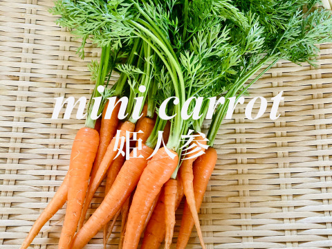 富山県産 姫人参 約50本