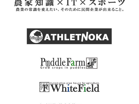 【2026キックオフセール】べにほっぺ30ｇ以上の大粒をたっぷり500g【通常便】