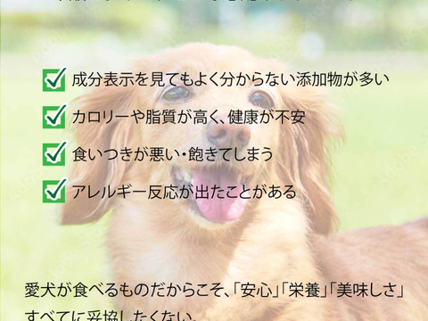 ペット用 福井県産 かじきジャーキー 50ｇ 2パック