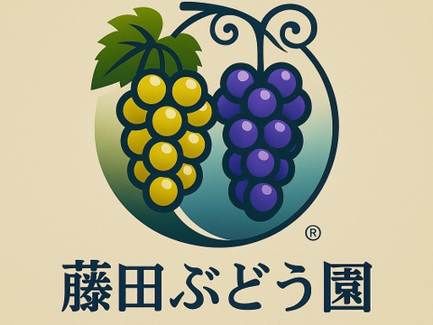 フルーツ大国和歌山よりお届け！朝採れシャインマスカット(家庭用)　約1.5キロ　4〜7房